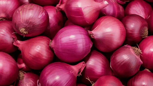 Fresh red onions — export grade product snapshot